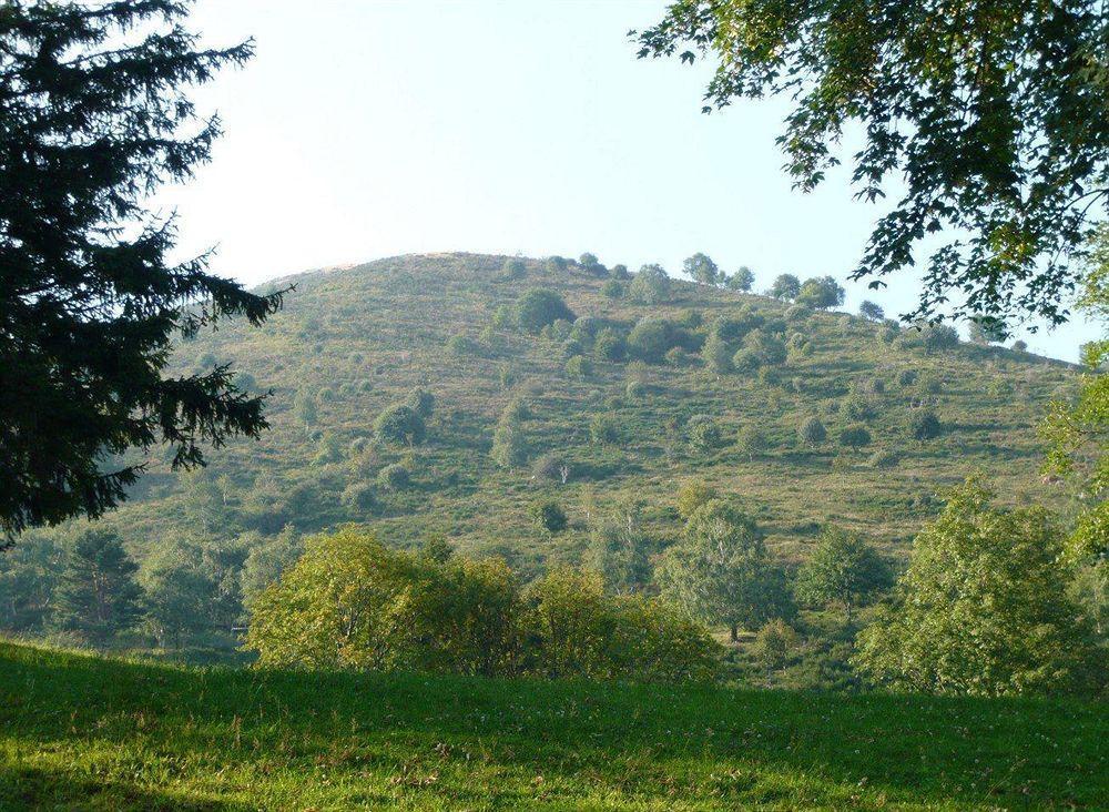 Rifugio Alpetto Di Torno Hostel Sormano Ngoại thất bức ảnh